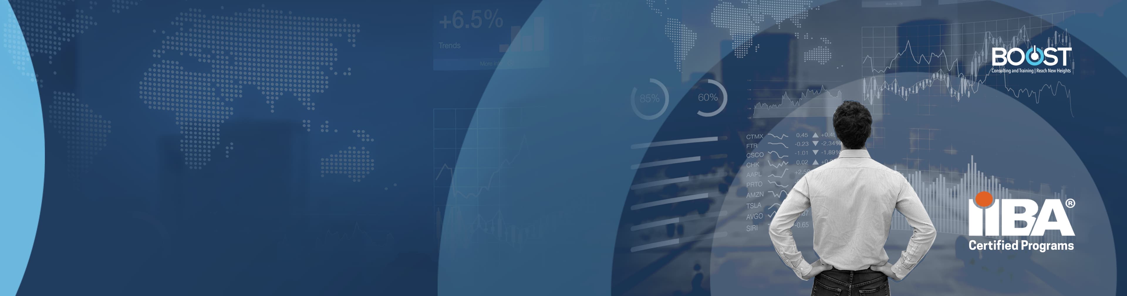 International Institute of Business Analysis(IIBA)